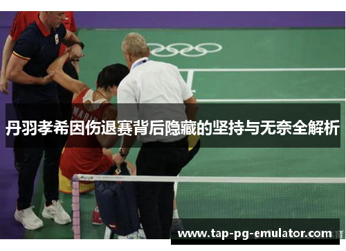 丹羽孝希因伤退赛背后隐藏的坚持与无奈全解析 丹羽孝希因伤退赛背后隐藏的坚持与无奈全解析