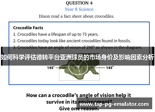 如何科学评估德转平台亚洲球员的市场身价及影响因素分析 如何科学评估德转平台亚洲球员的市场身价及影响因素分析